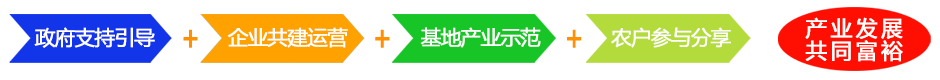 準(zhǔn)旗網(wǎng)站合作模式940.png